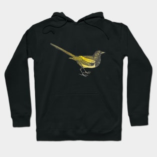 Cute Yellow Vintage Bird Illustration with Yellow watercolour Background Hoodie